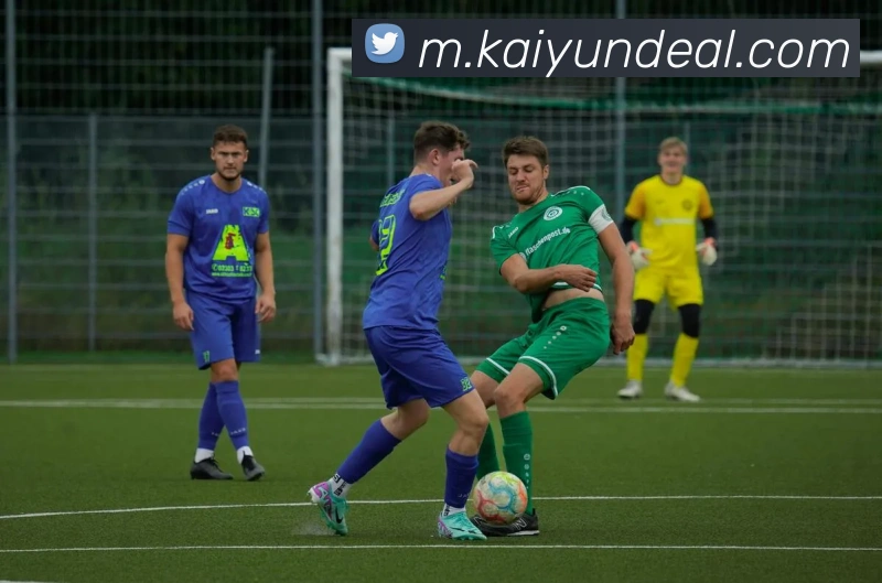 开云体育发展历程